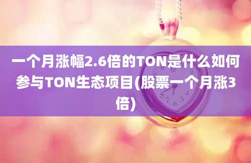 一个月涨幅2.6倍的TON是什么如何参与TON生态项目(股票一个月涨3倍)