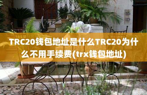 TRC20钱包地址是什么TRC20为什么不用手续费(trx钱包地址)