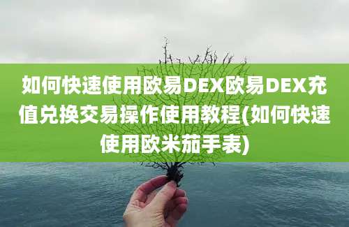 如何快速使用欧易DEX欧易DEX充值兑换交易操作使用教程(如何快速使用欧米茄手表)