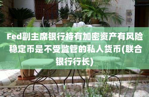 Fed副主席银行持有加密资产有风险 稳定币是不受监管的私人货币(联合银行行长)