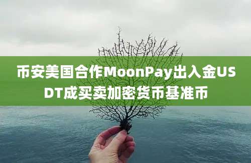 币安美国合作MoonPay出入金USDT成买卖加密货币基准币