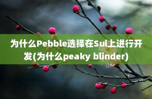 为什么Pebble选择在Sui上进行开发(为什么peaky blinder)