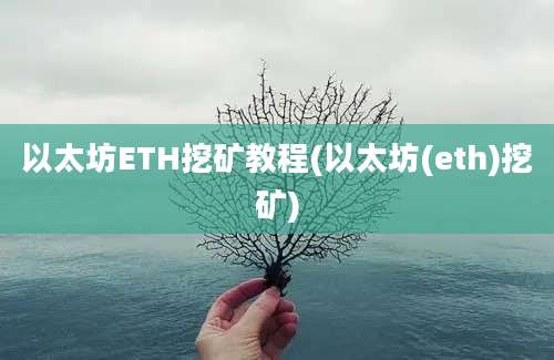 以太坊ETH挖矿教程(以太坊(eth)挖矿)