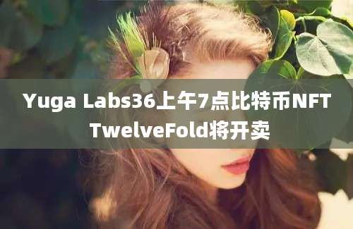 Yuga Labs36上午7点比特币NFT TwelveFold将开卖