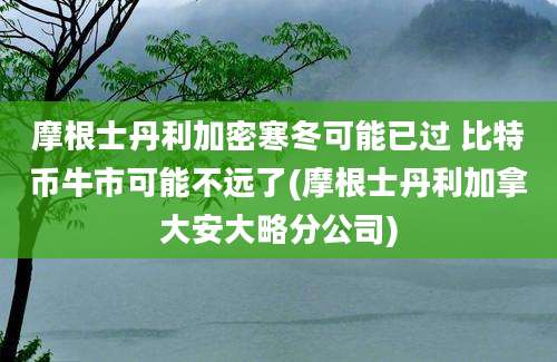 摩根士丹利加密寒冬可能已过 比特币牛市可能不远了(摩根士丹利加拿大安大略分公司)