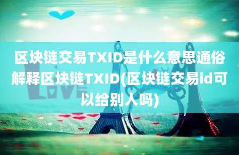 区块链交易TXID是什么意思通俗解释区块链TXID(区块链交易id可以给别人吗)