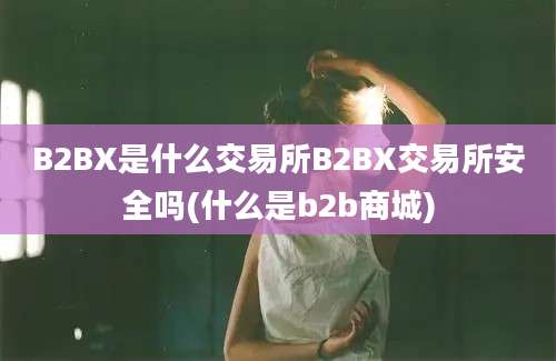 B2BX是什么交易所B2BX交易所安全吗(什么是b2b商城)