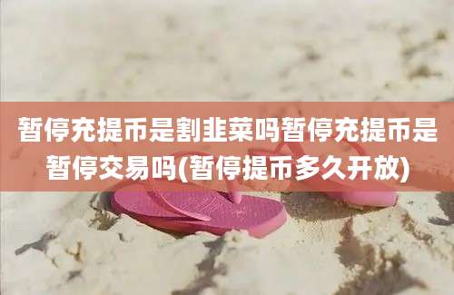 暂停充提币是割韭菜吗暂停充提币是暂停交易吗(暂停提币多久开放)