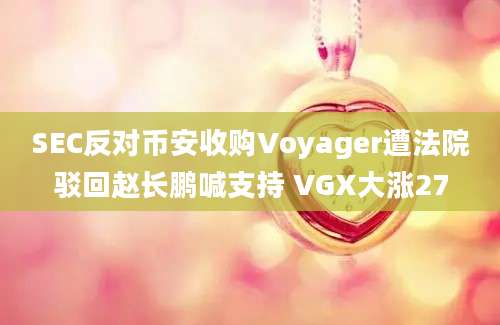 SEC反对币安收购Voyager遭法院驳回赵长鹏喊支持 VGX大涨27