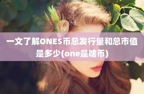 一文了解ONES币总发行量和总市值是多少(one是啥币)