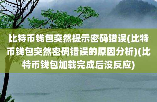 比特币钱包突然提示密码错误(比特币钱包突然密码错误的原因分析)(比特币钱包加载完成后没反应)