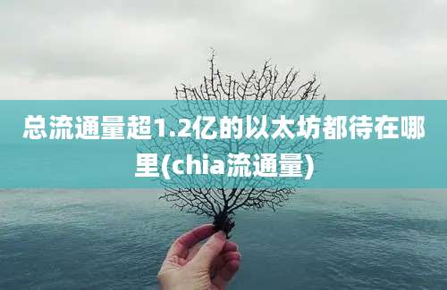 总流通量超1.2亿的以太坊都待在哪里(chia流通量)