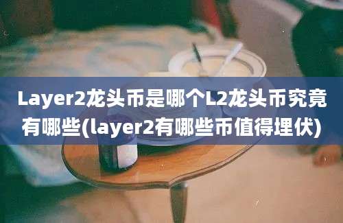 Layer2龙头币是哪个L2龙头币究竟有哪些(layer2有哪些币值得埋伏)