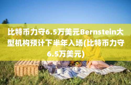 比特币力守6.5万美元Bernstein大型机构预计下半年入场(比特币力守6.5万美元)