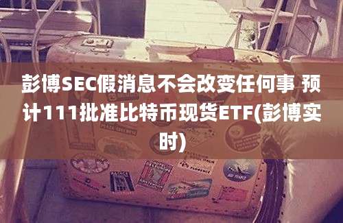 彭博SEC假消息不会改变任何事 预计111批准比特币现货ETF(彭博实时)