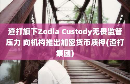 渣打旗下Zodia Custody无畏监管压力 向机构推出加密货币质押(渣打集团)