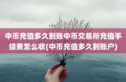 中币充值多久到账中币交易所充值手续费怎么收(中币充值多久到账户)