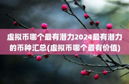 虚拟币哪个最有潜力2024最有潜力的币种汇总(虚拟币哪个最有价值)