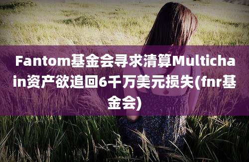 Fantom基金会寻求清算Multichain资产欲追回6千万美元损失(fnr基金会)