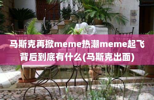 马斯克再掀meme热潮meme起飞背后到底有什么(马斯克出面)