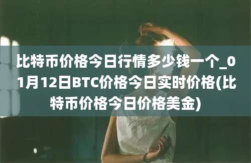 比特币价格今日行情多少钱一个_01月12日BTC价格今日实时价格(比特币价格今日价格美金)