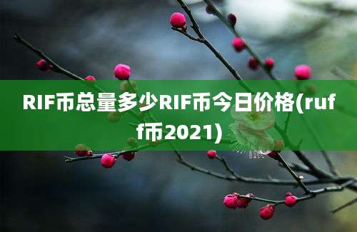 RIF币总量多少RIF币今日价格(ruff币2021)