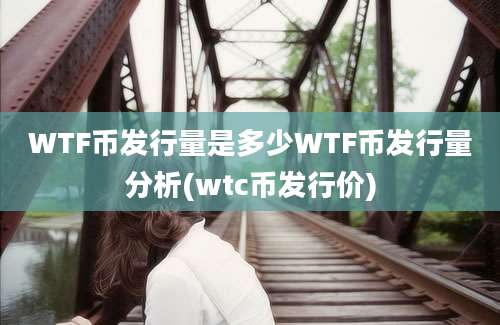 WTF币发行量是多少WTF币发行量分析(wtc币发行价)