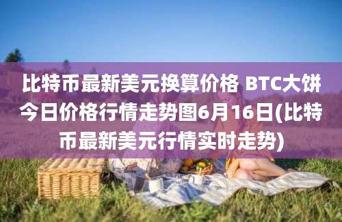 比特币最新美元换算价格 BTC大饼今日价格行情走势图6月16日(比特币最新美元行情实时走势)