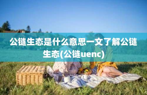 公链生态是什么意思一文了解公链生态(公链uenc)