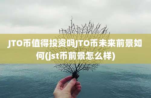 JTO币值得投资吗JTO币未来前景如何(jst币前景怎么样)