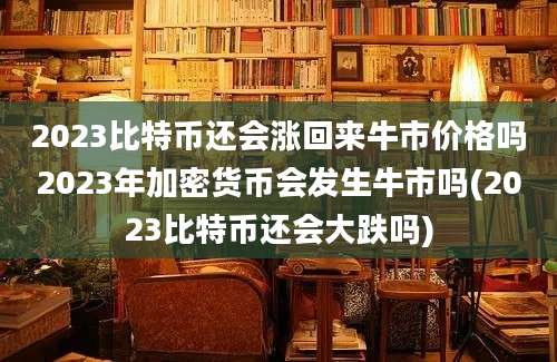 2023比特币还会涨回来牛市价格吗2023年加密货币会发生牛市吗(2023比特币还会大跌吗)