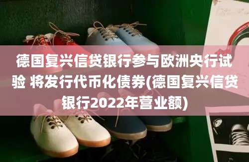 德国复兴信贷银行参与欧洲央行试验 将发行代币化债券(德国复兴信贷银行2022年营业额)