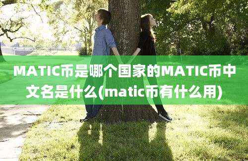 MATIC币是哪个国家的MATIC币中文名是什么(matic币有什么用)