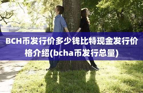 BCH币发行价多少钱比特现金发行价格介绍(bcha币发行总量)