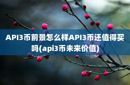 API3币前景怎么样API3币还值得买吗(api3币未来价值)