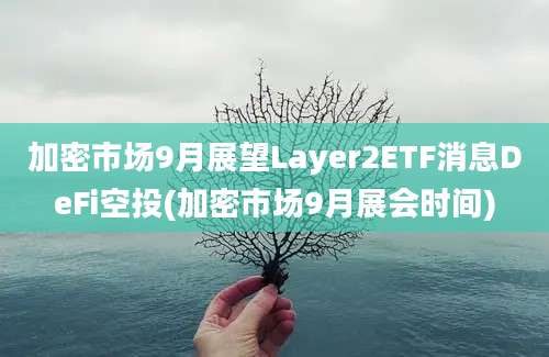 加密市场9月展望Layer2ETF消息DeFi空投(加密市场9月展会时间)