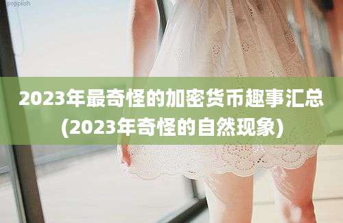 2023年最奇怪的加密货币趣事汇总(2023年奇怪的自然现象)