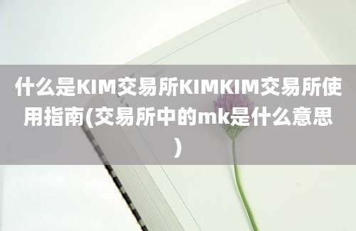 什么是KIM交易所KIMKIM交易所使用指南(交易所中的mk是什么意思)