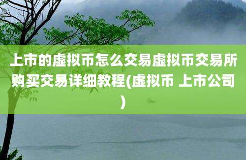 上市的虚拟币怎么交易虚拟币交易所购买交易详细教程(虚拟币 上市公司)