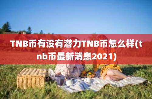 TNB币有没有潜力TNB币怎么样(tnb币最新消息2021)