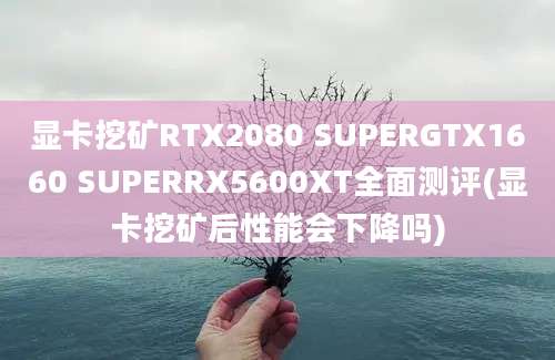 显卡挖矿RTX2080 SUPERGTX1660 SUPERRX5600XT全面测评(显卡挖矿后性能会下降吗)