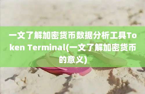 一文了解加密货币数据分析工具Token Terminal(一文了解加密货币的意义)