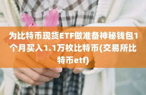 为比特币现货ETF做准备神秘钱包1个月买入1.1万枚比特币(交易所比特币etf)