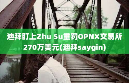 迪拜盯上Zhu Su重罚OPNX交易所270万美元(迪拜saygin)