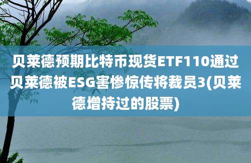 贝莱德预期比特币现货ETF110通过贝莱德被ESG害惨惊传将裁员3(贝莱德增持过的股票)