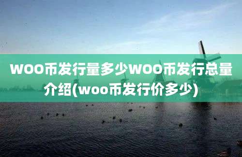 WOO币发行量多少WOO币发行总量介绍(woo币发行价多少)