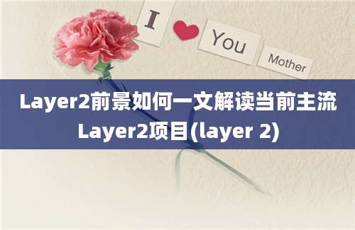 Layer2前景如何一文解读当前主流Layer2项目(layer 2)