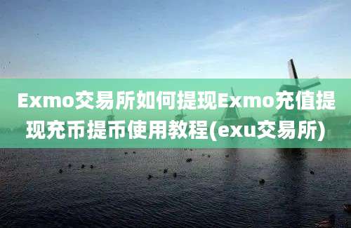 Exmo交易所如何提现Exmo充值提现充币提币使用教程(exu交易所)