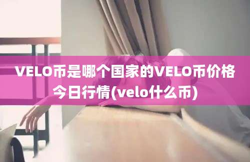 VELO币是哪个国家的VELO币价格今日行情(velo什么币)