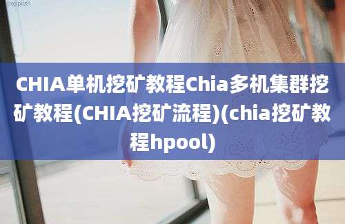 CHIA单机挖矿教程Chia多机集群挖矿教程(CHIA挖矿流程)(chia挖矿教程hpool)